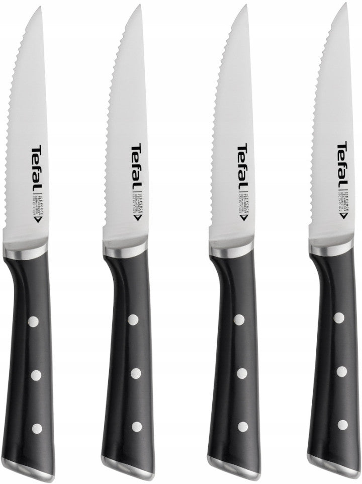 Set of 5 knives TEFAL Ice Force + block steak knives saw sharpener Brand Tefal
