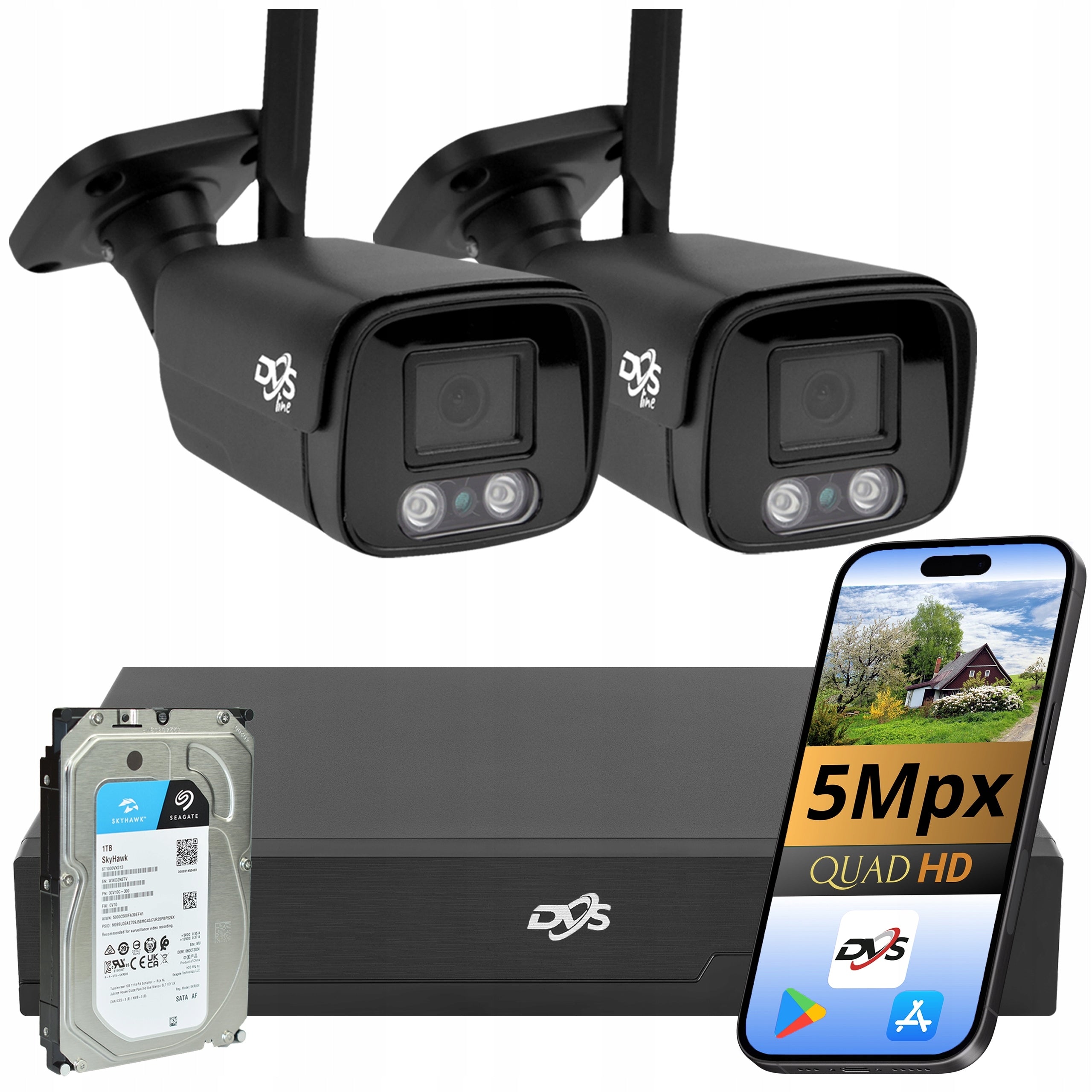 Set of cameras for WiFi monitoring 2 cameras 5Mpx black DVS DVR 1TB