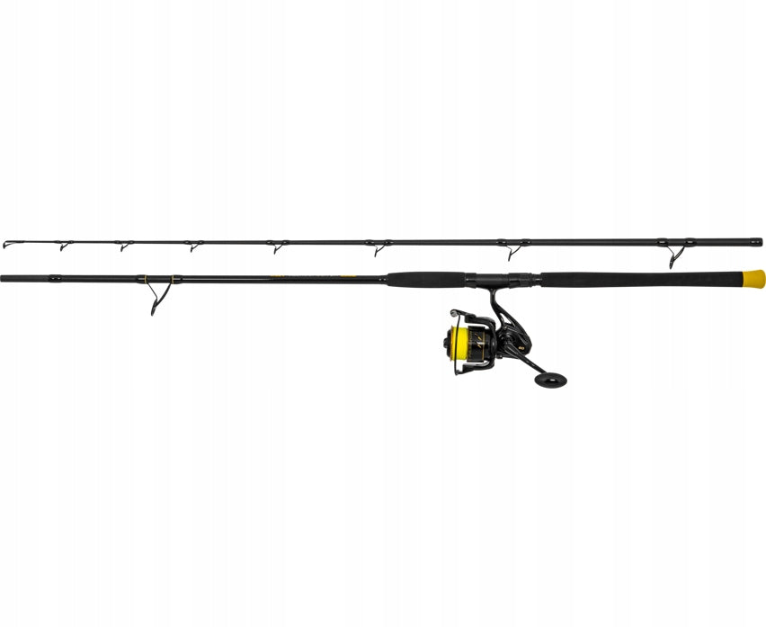 Set of catfish rod with reel Hard Core Combo ALLROUND 270cm Black Cat