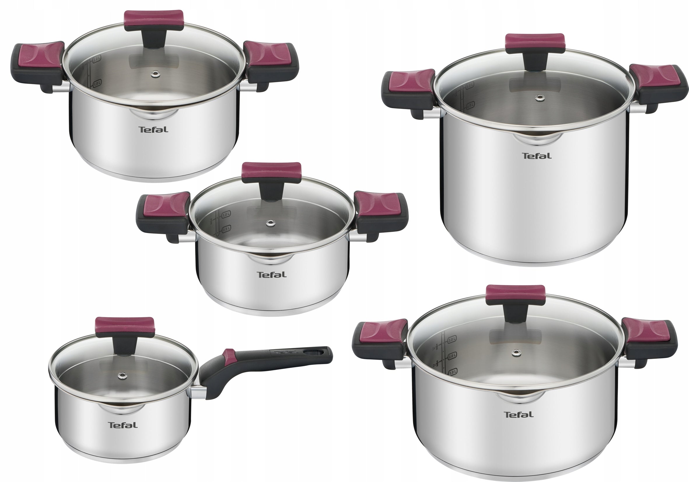 Set of pots Tefal Cook&Clip stainless steel 10 el.