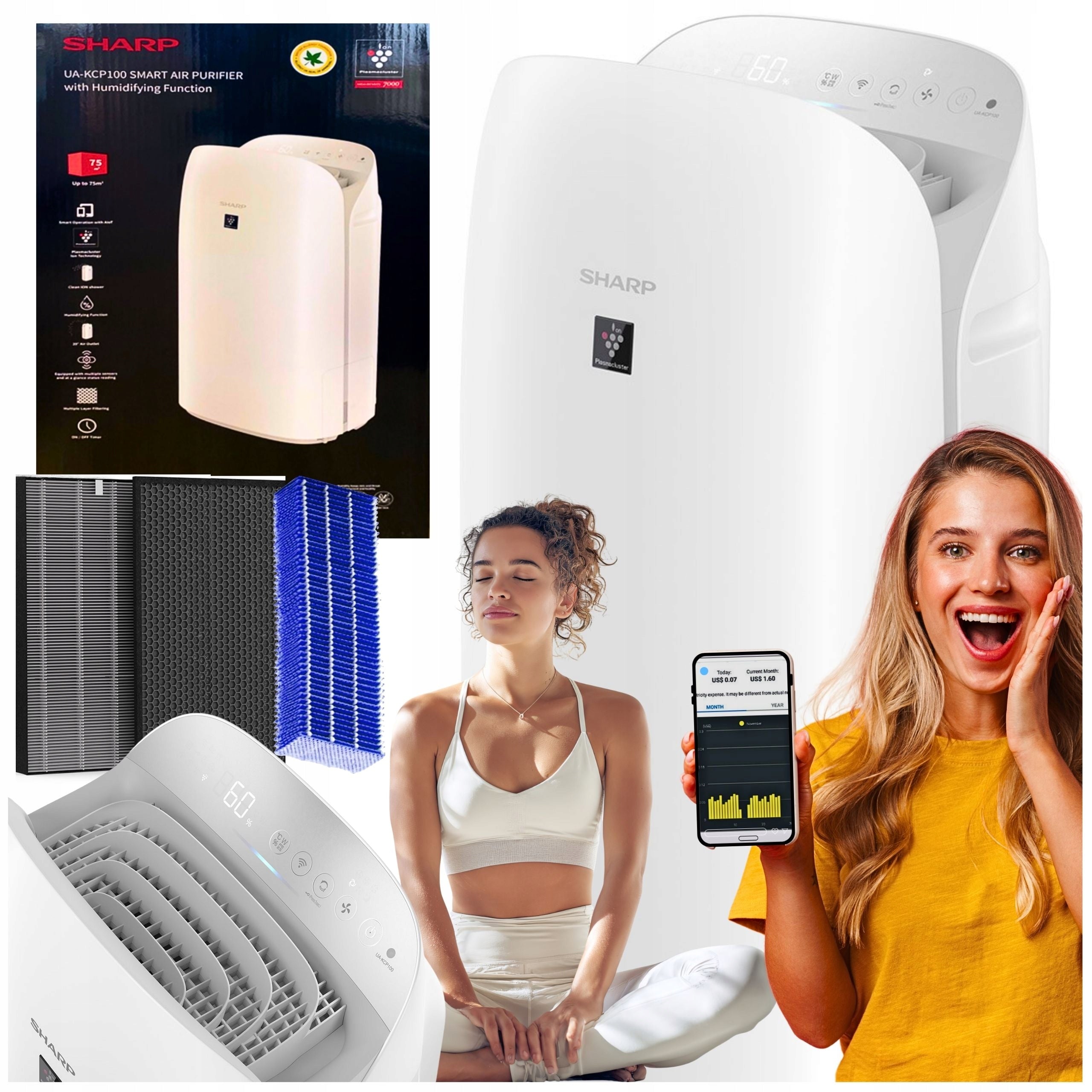 Sharp Air Purifier Humidifier Ionizer UA-KCP100E-W HEPA Application