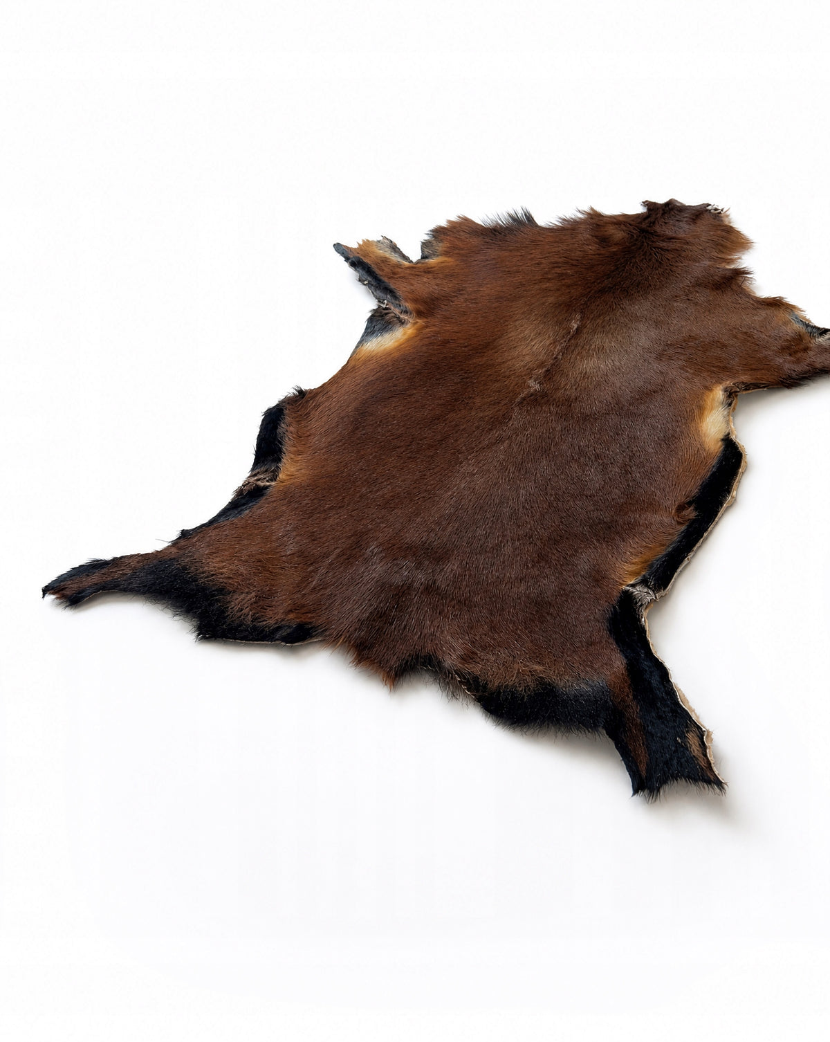 Sheepskin "CAMERIAN" Dark brown-70cm/M (Lamb) 100%Natural! Packaging status original