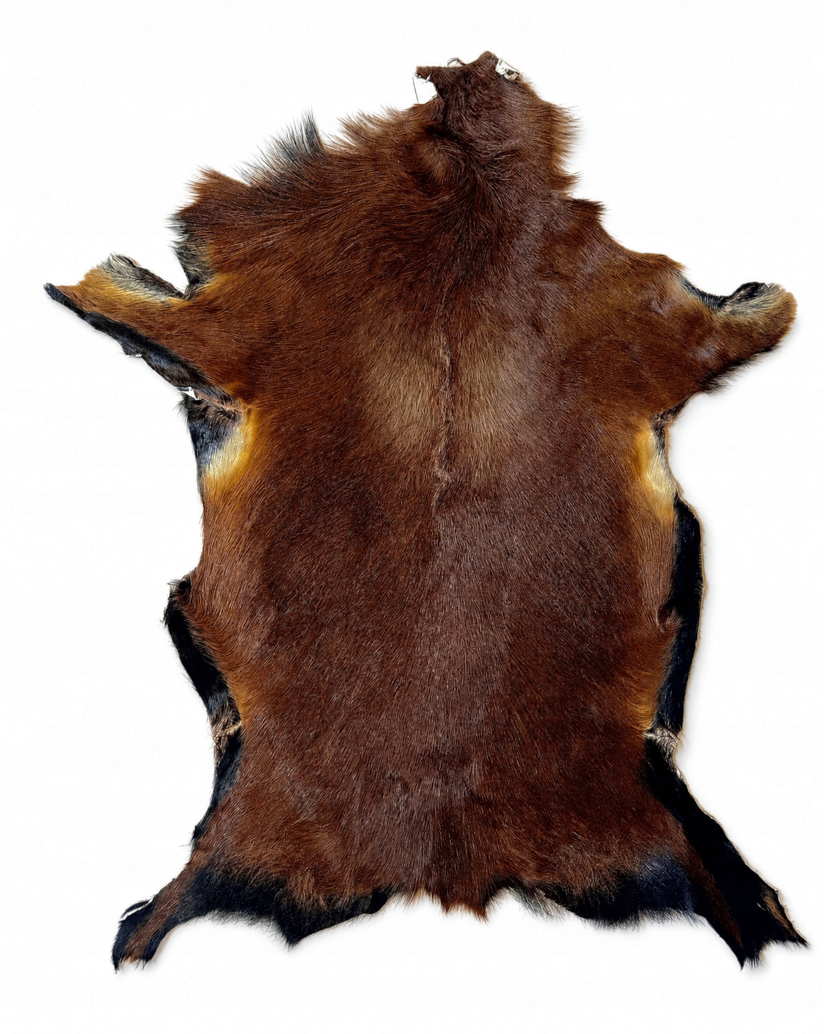 Sheepskin "CAMERIAN" Dark brown-70cm/M (Lamb) 100%Natural!