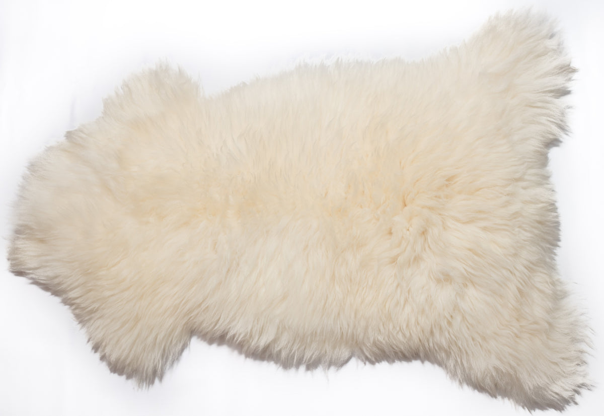 Sheepskin Natural White XL Sheepskins POLISH Natural
