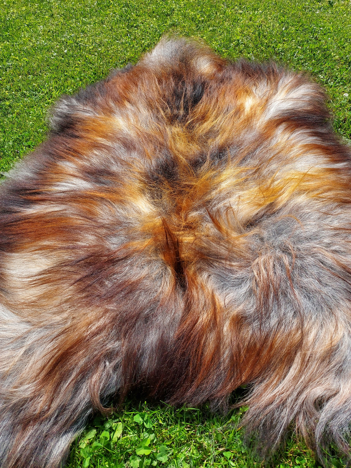 Sheepskin UNIQUE Angular Natural Leather Long Hair Manufacturer code 1ba