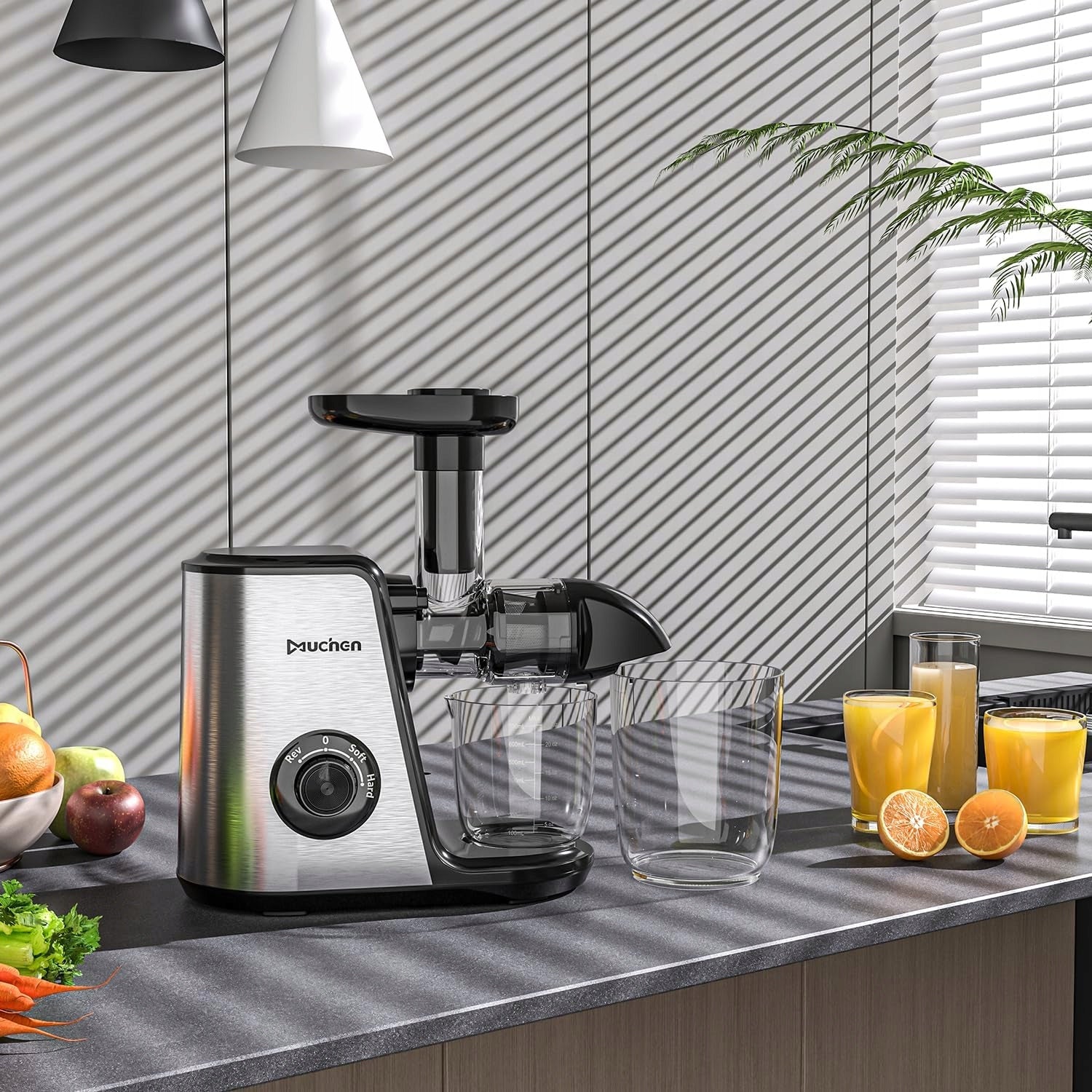 Slow juicer vegetable fruit juicer speed control Packaging status original