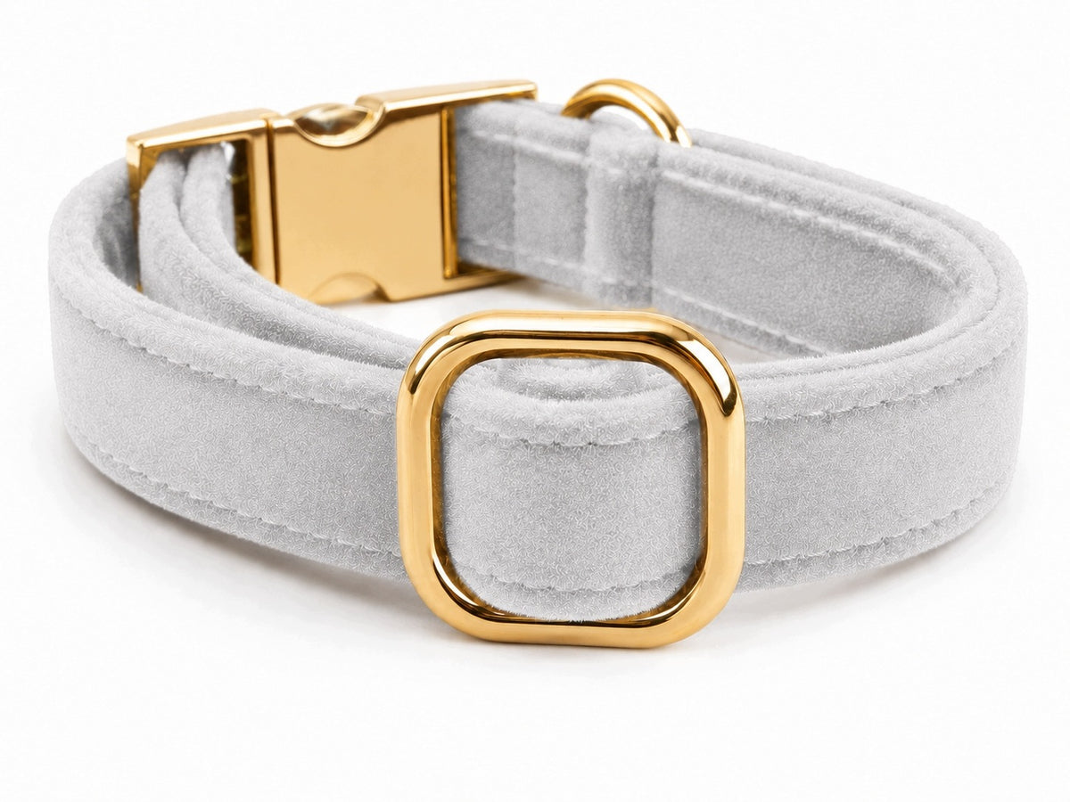 Small Dog Collar VELOUR Grey Adjustable Gold Buckle XS Premium Manufacturer code AKSAMIT-SIWA-GOLD-SM