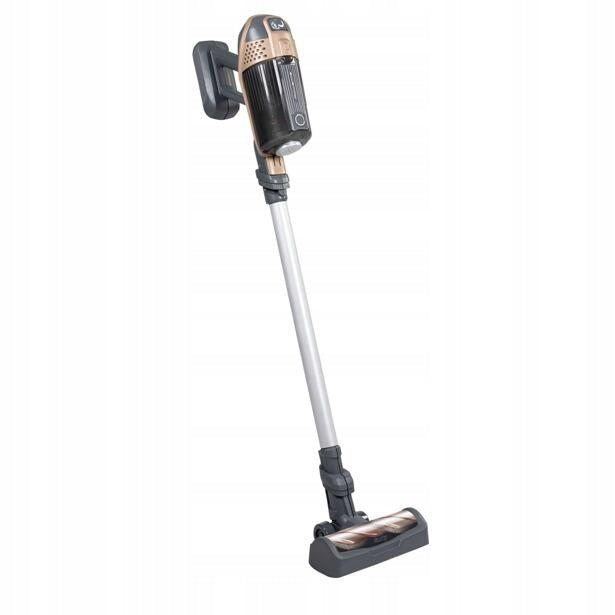 Smoby Tyčový vysavač Rowenta X Force Flex Brand Smoby