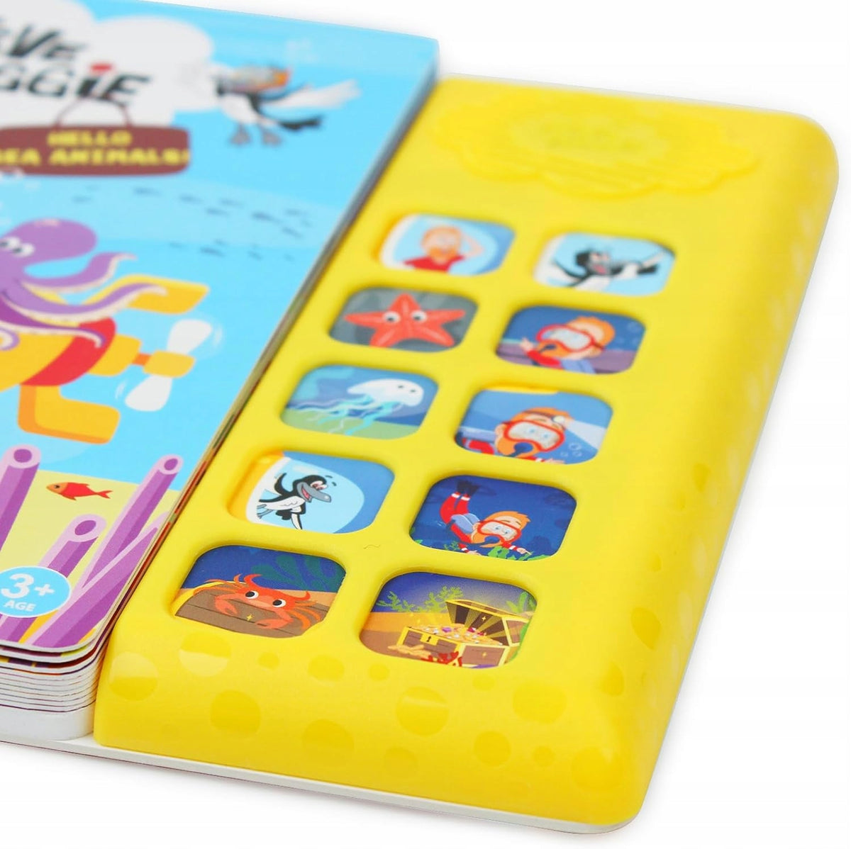 Songbooks to Sing, 10-Button Soundbook Manufacturer code B0F6CYLDWX
