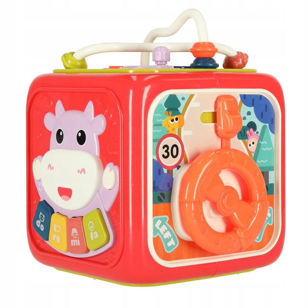 Sorter puzzle sensory cube Montessori educational blocks 6in1 Packaging status original