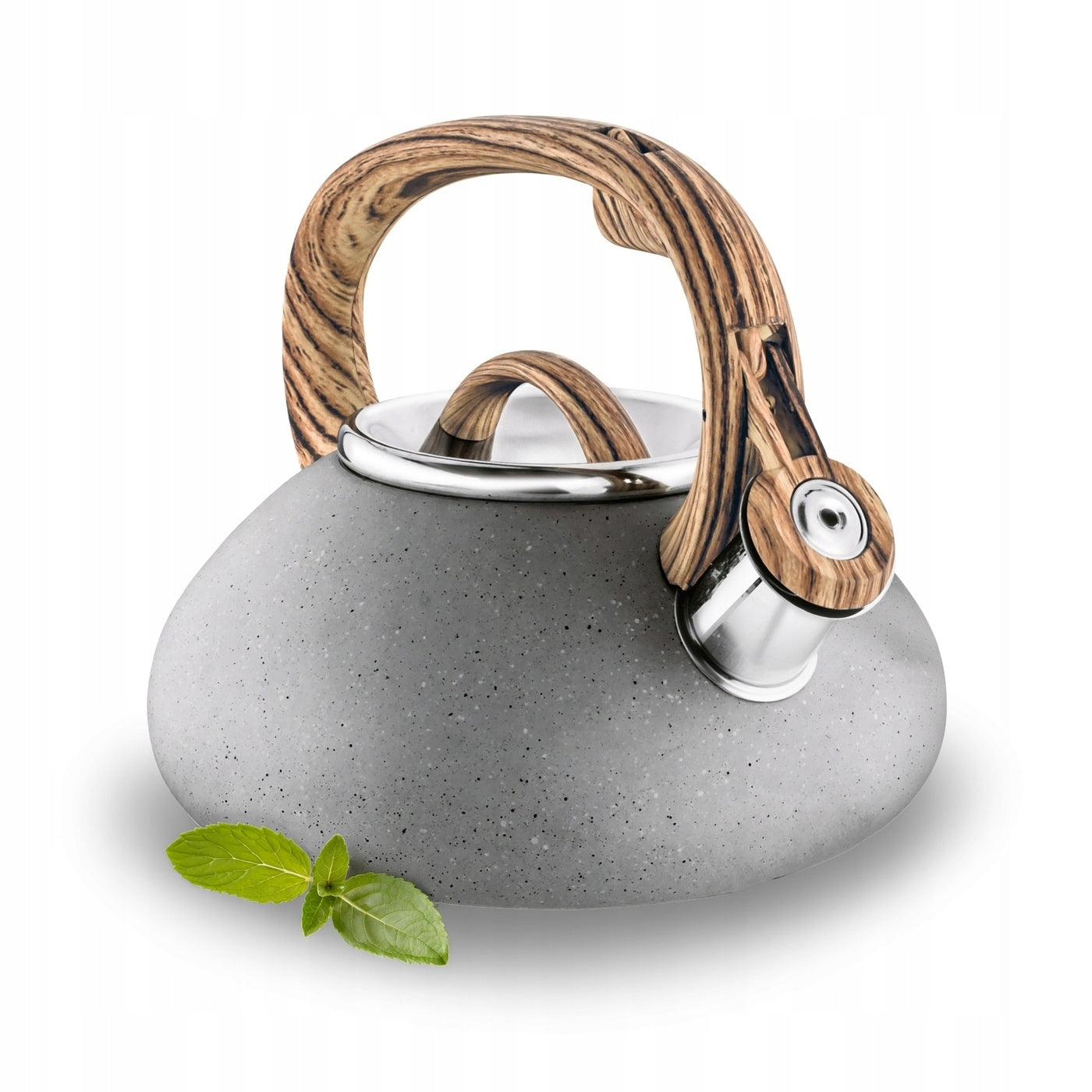 Stainless KETTLE with WHISTLE Large INDUCTION GAS Stainless Tadar Vita 2 l