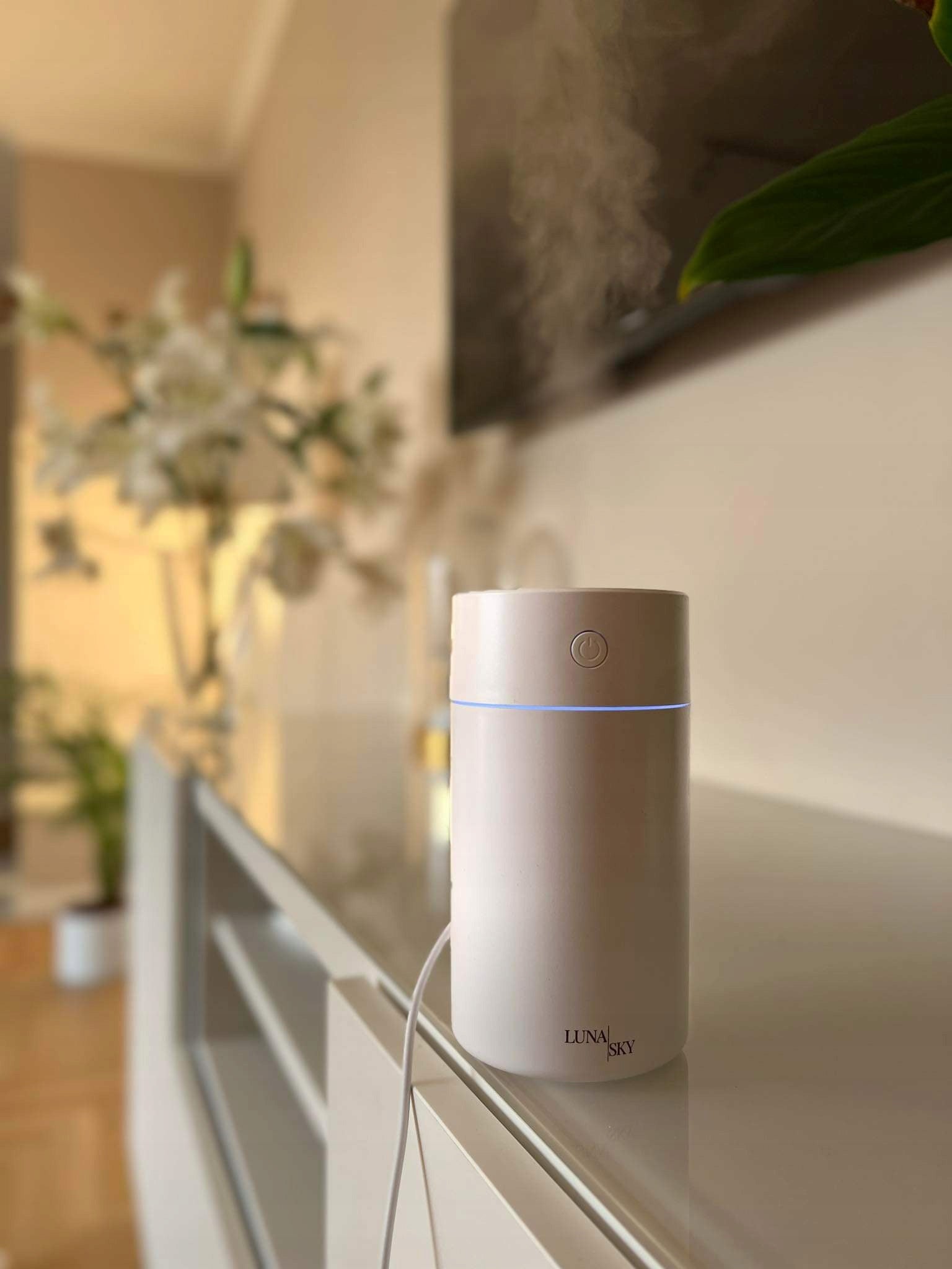 Steam Humidifier Air Fragrance Diffuser Gift Aromatherapy Luna Sky Medical device no