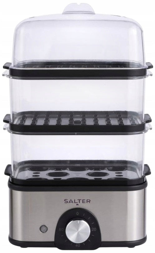 Steamer SALTER EK5885VDE