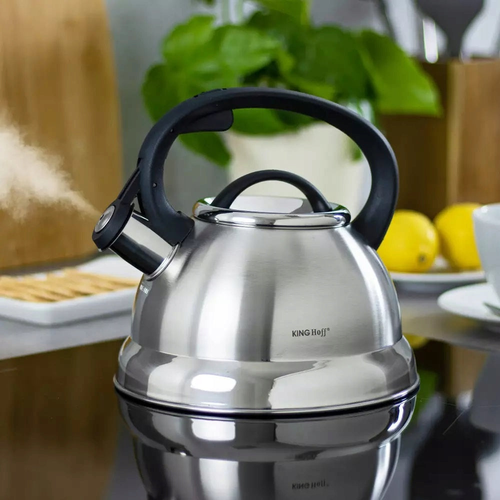Steel Whistle Kettle 2.2 L Satin Induction Gas Packaging status original