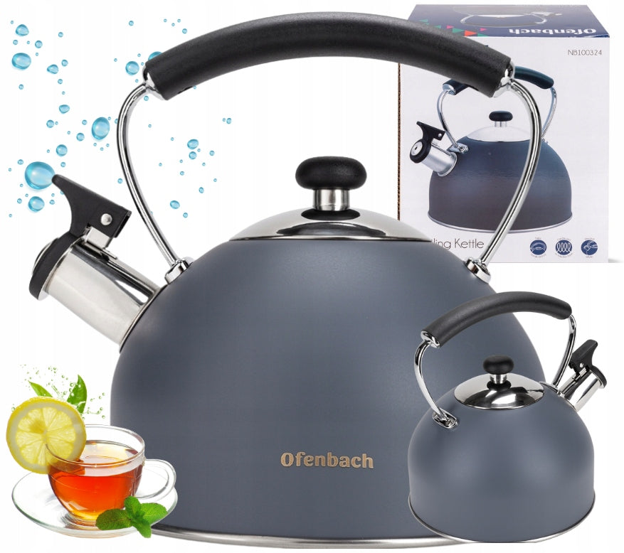 Steel kettle for gas induction MODERN DESIGN 2,2L OFENBACH
