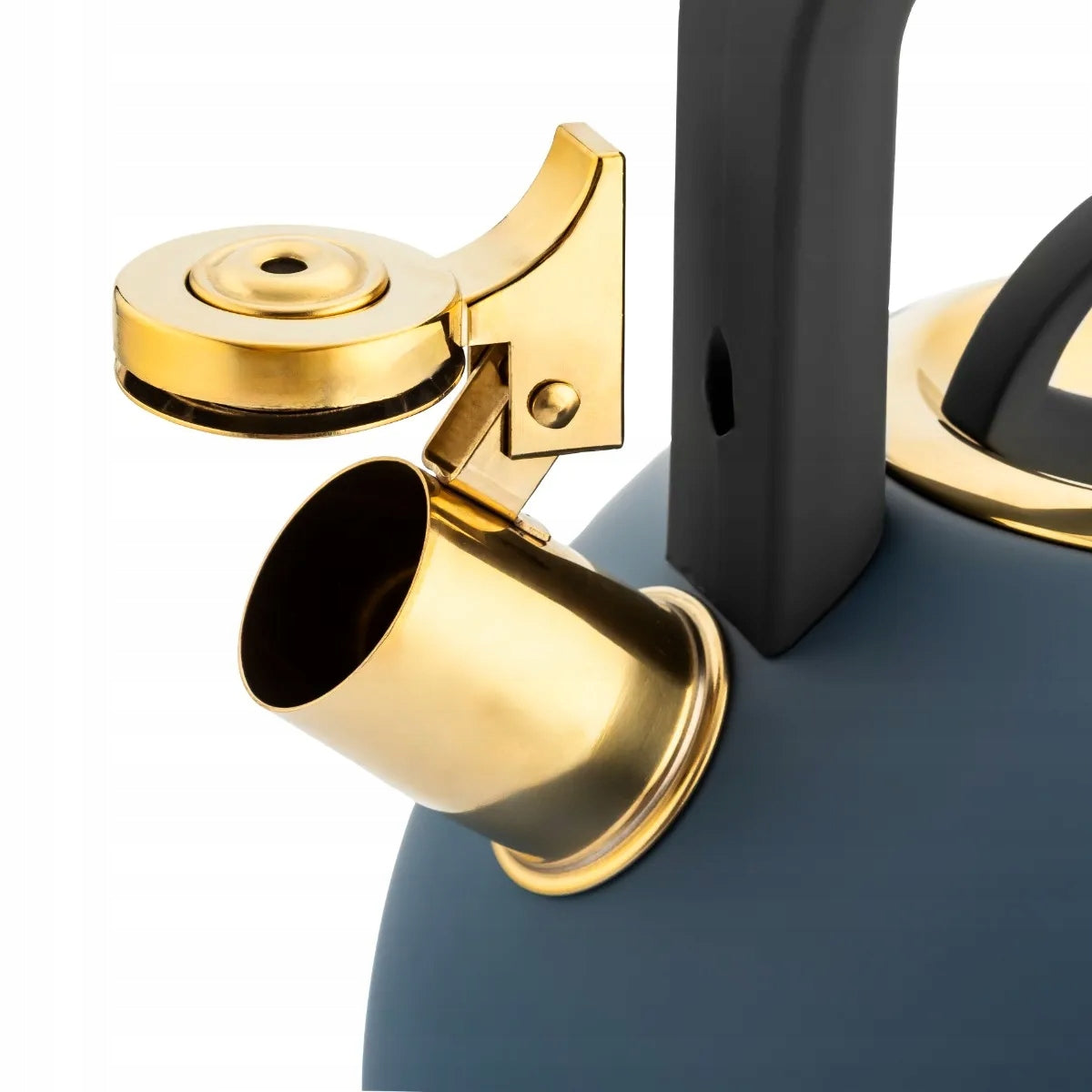 Steel kettle for gas induction Valdinox Giovanni 2,5 l with whistle grenade Brand Valdinox