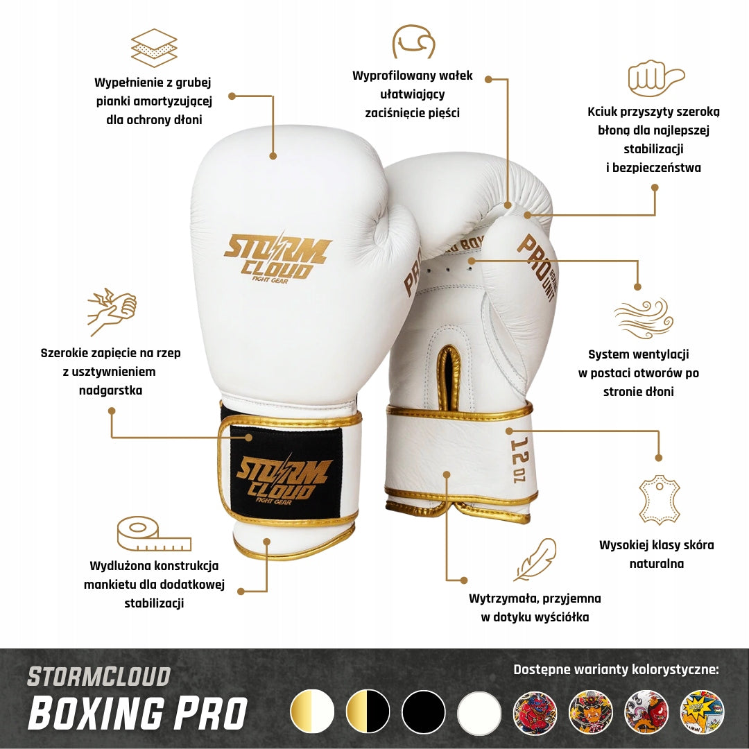 StormCloud Boxing Gloves Genuine Leather Boxing Pro Daisho FUJIN Brand Storm Cloud