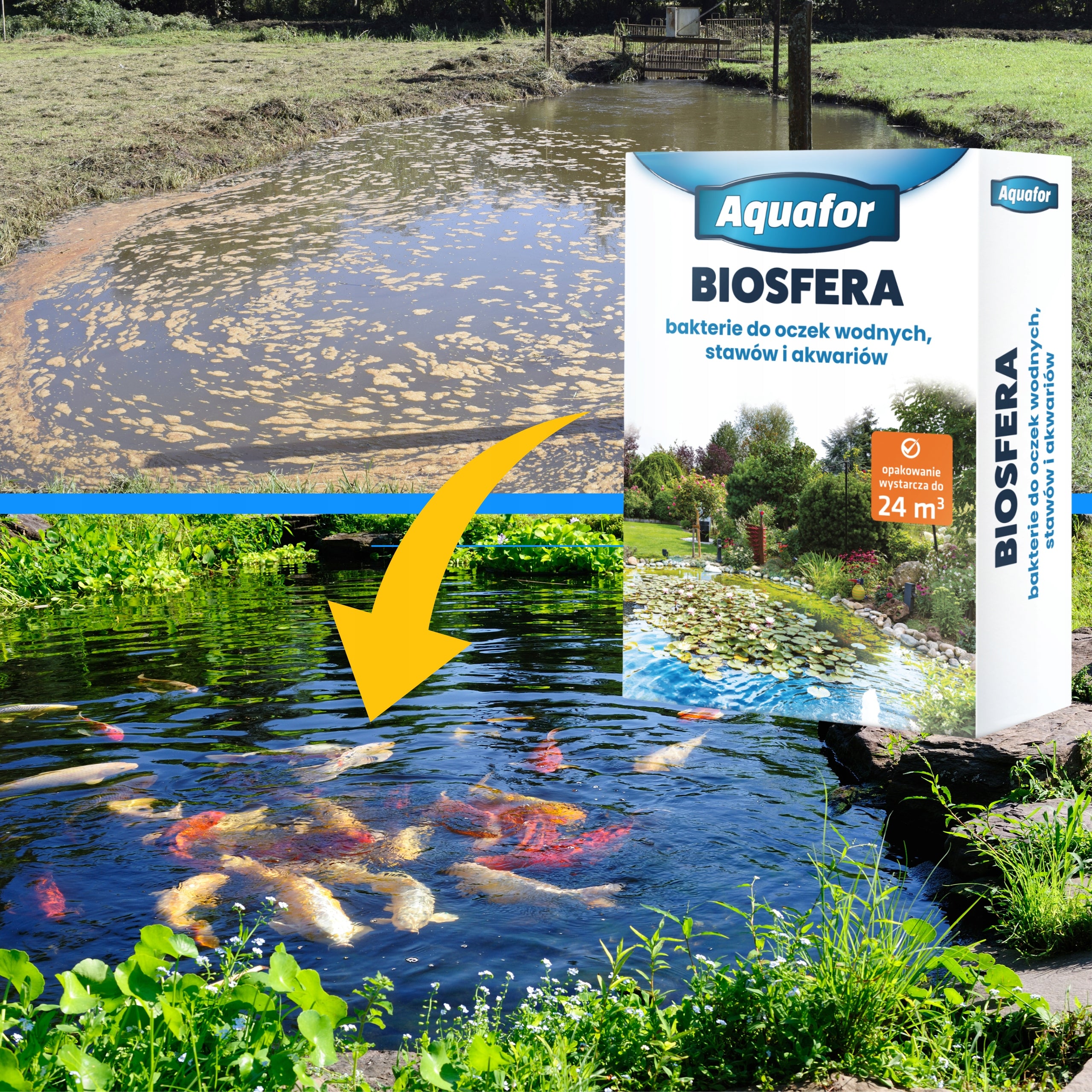 Strong Bacteria for ponds,ant algae, center of joints -BIOSPHERE 1kg Manufacturer code 2222