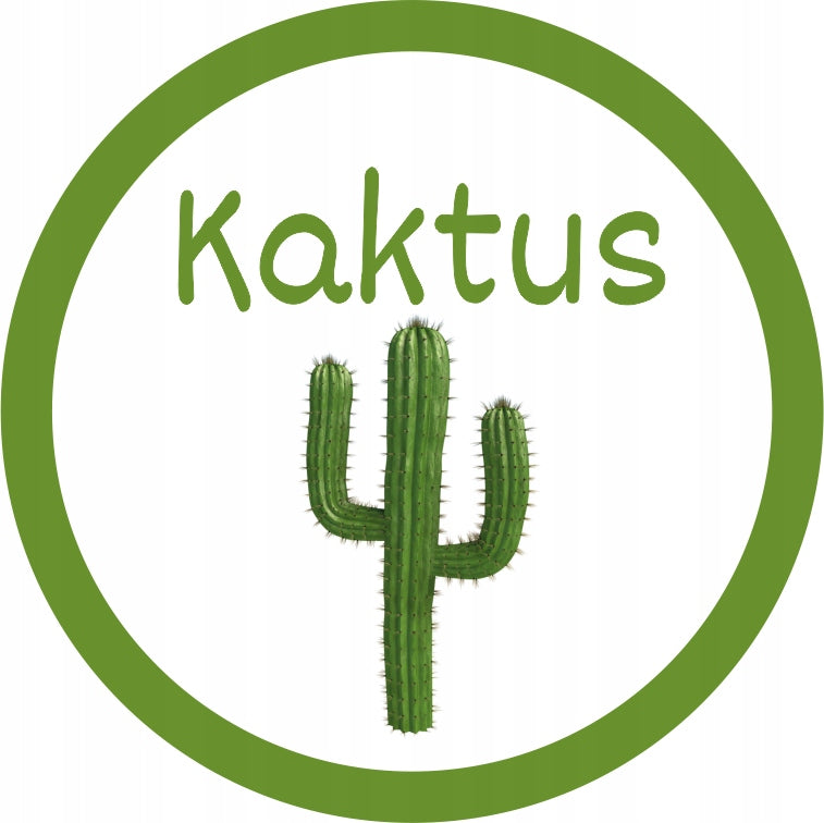 Sugar For Cotton Candy CACTUS 1kg Cactus Color Green Dry For Machine Manufacturer code ADMAJ-CUKIER-1KG-DOYPACK-KAKTUS
