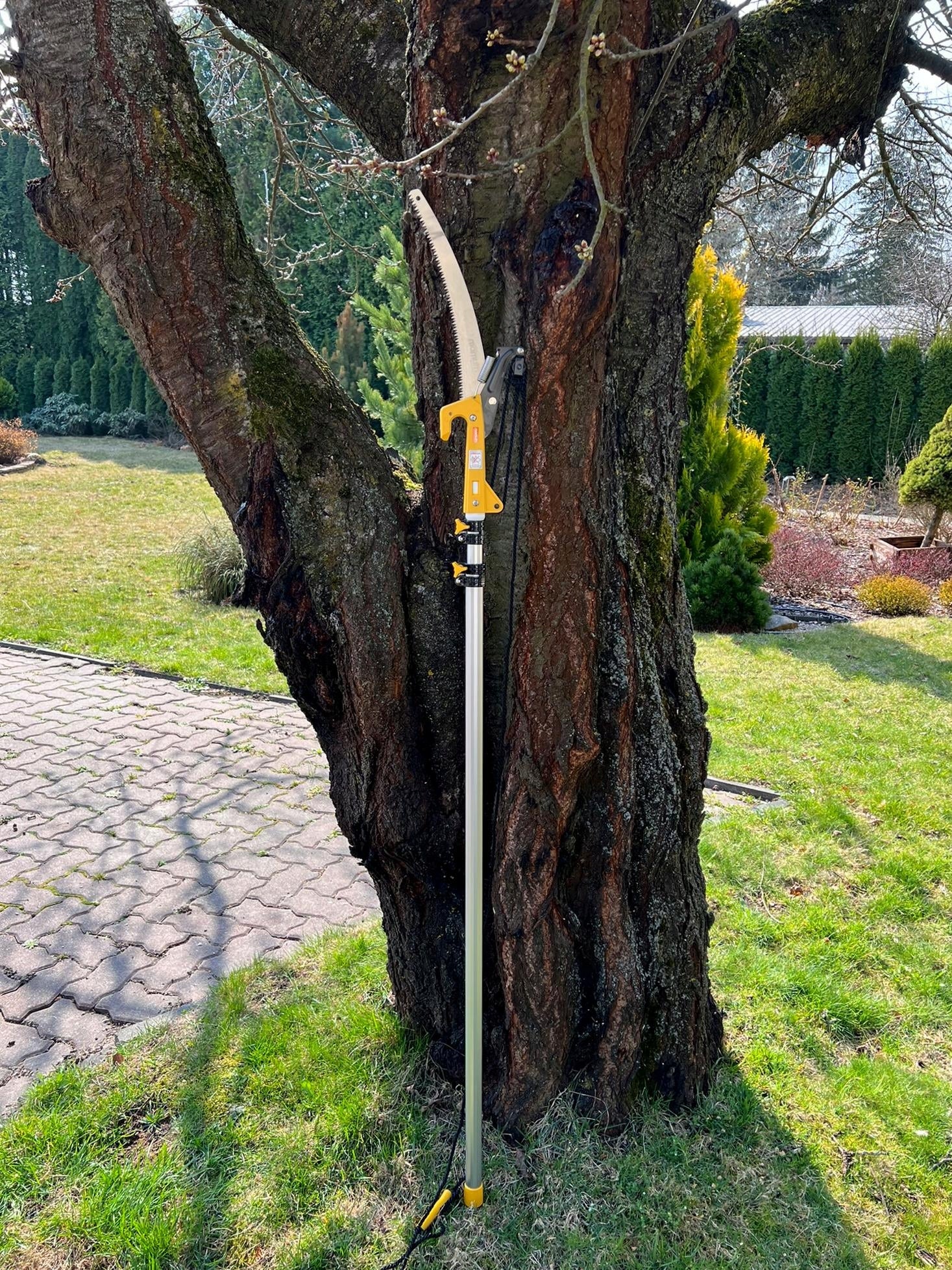 TELESCOPIC SAW WITH SHEAR ON HANDLE 3,75m 375cm FOR BRANCHES 2in1 MAMUTH Power supply handheld
