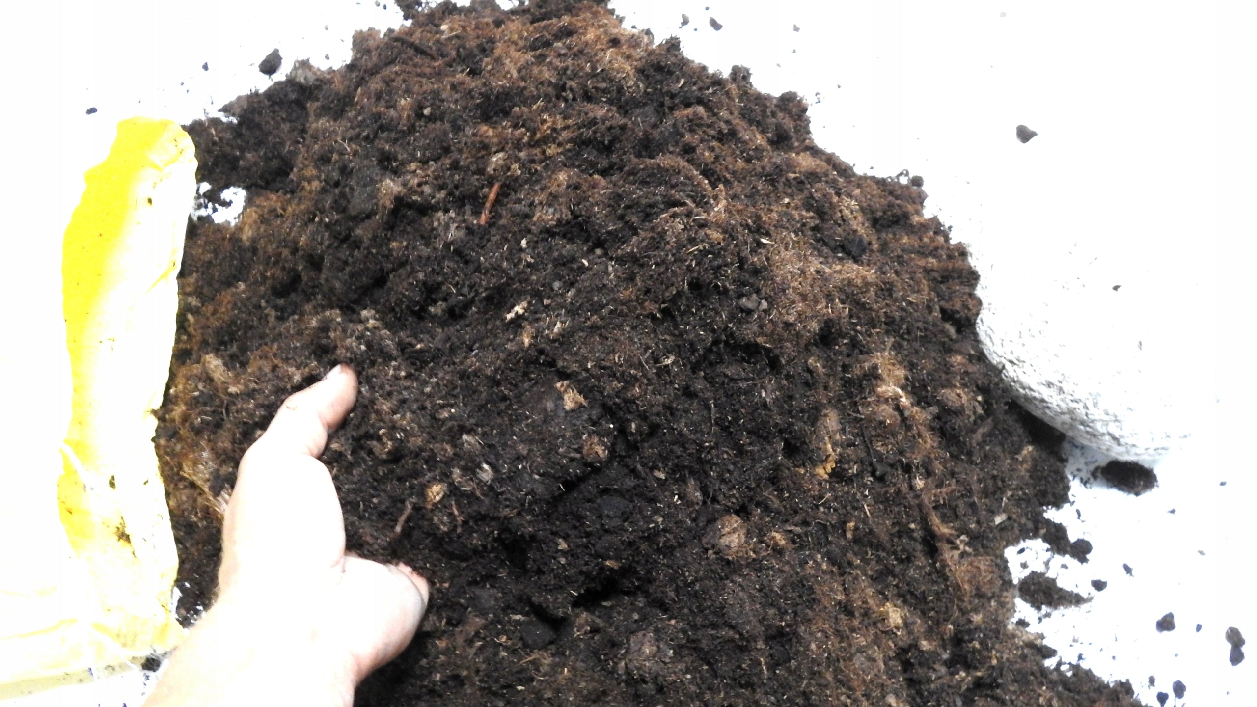 TORF ACIDIC POND 20 L ANTIALGAE + STONE