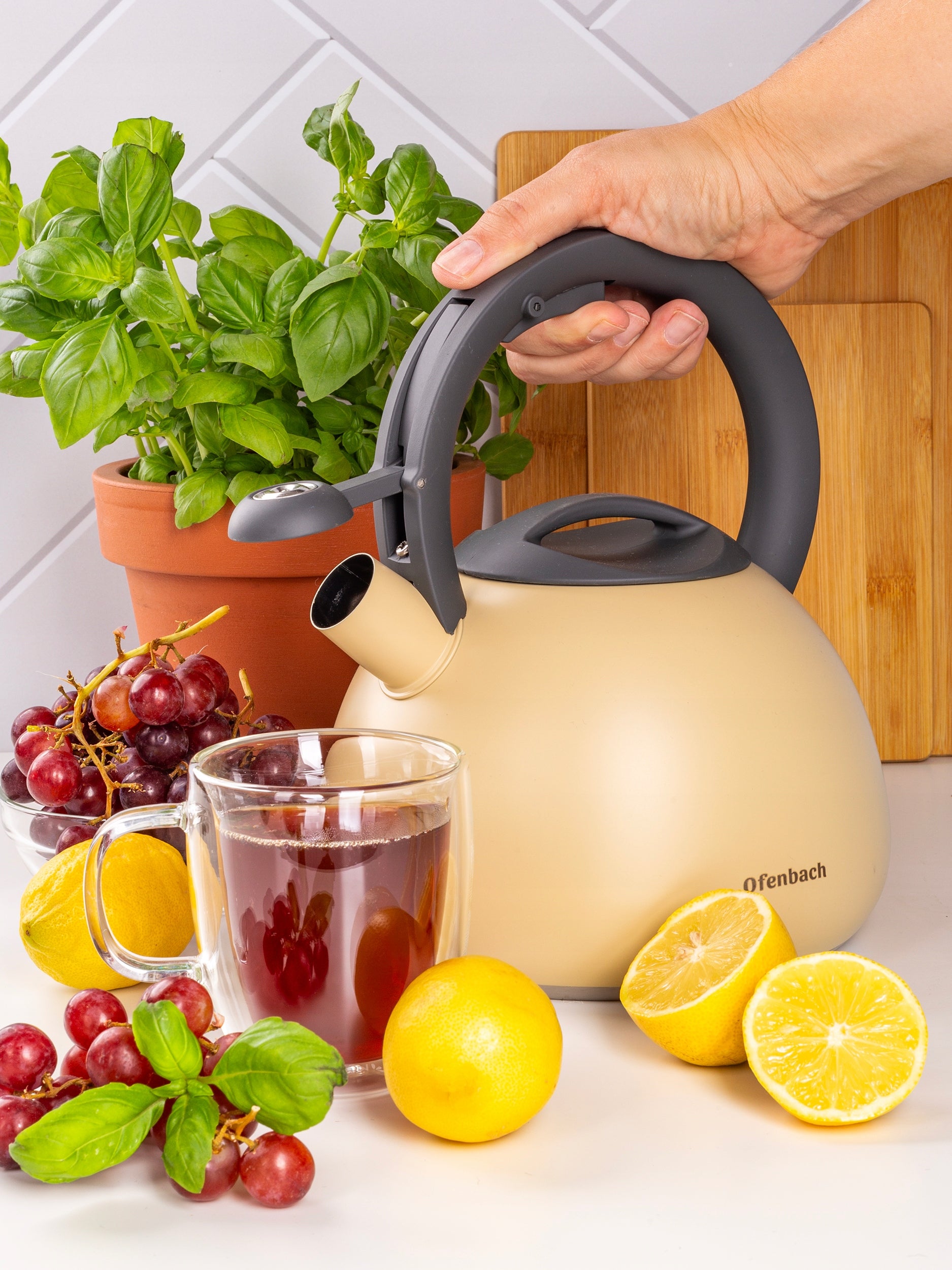TRADITIONAL KETTLE WITH WHISTLE FOR GAS OFENBACH INDUCTION EAN (GTIN) 5904734063391