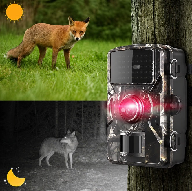 TRAIL CAMERA IR FOREST CAMERA WATERPROOF FULL HD MOTION SENSOR 16MPx NIGHT MODE Manufacturer code FOTOPUŁAPKA-43756