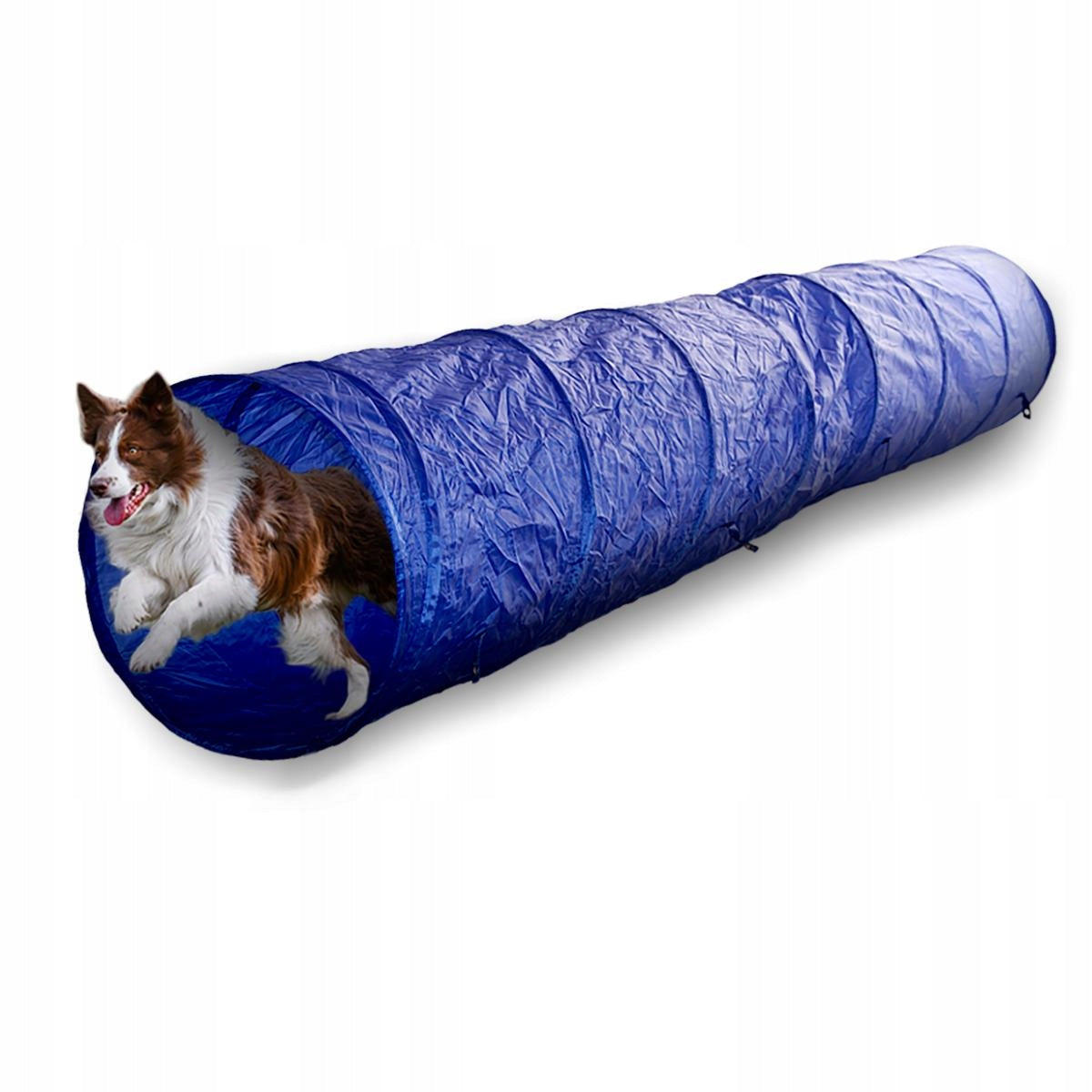 TRAINING EFFICIENCY TUNNEL FOR DOGS ANIMALS 2m
