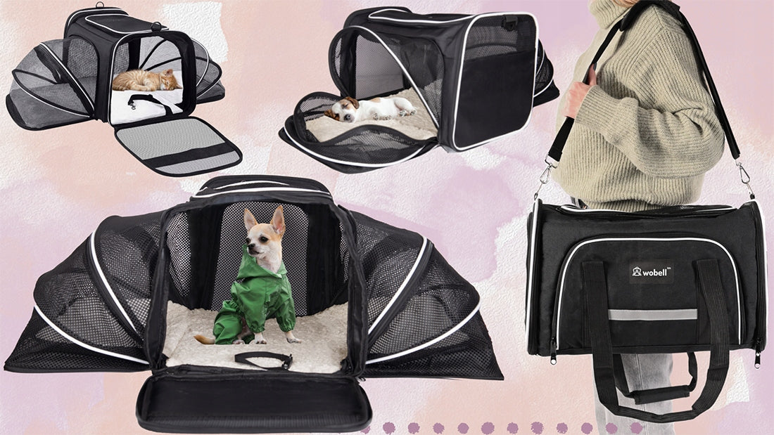 TRANSPORTER FOLDING CARRY BAG FOR CAT DOG ANIMALS FOR AIRPLANE Manufacturer code 5903738822997