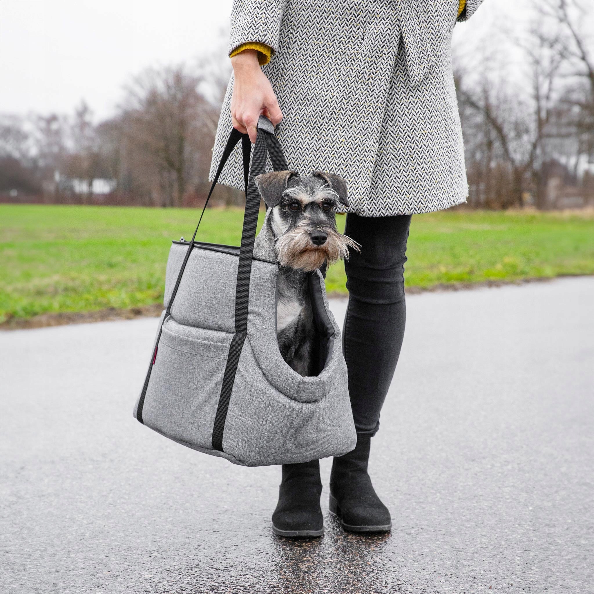 TRANSPORTER Travel bag for Dog Cat Carrier S EAN (GTIN) 5903268365421