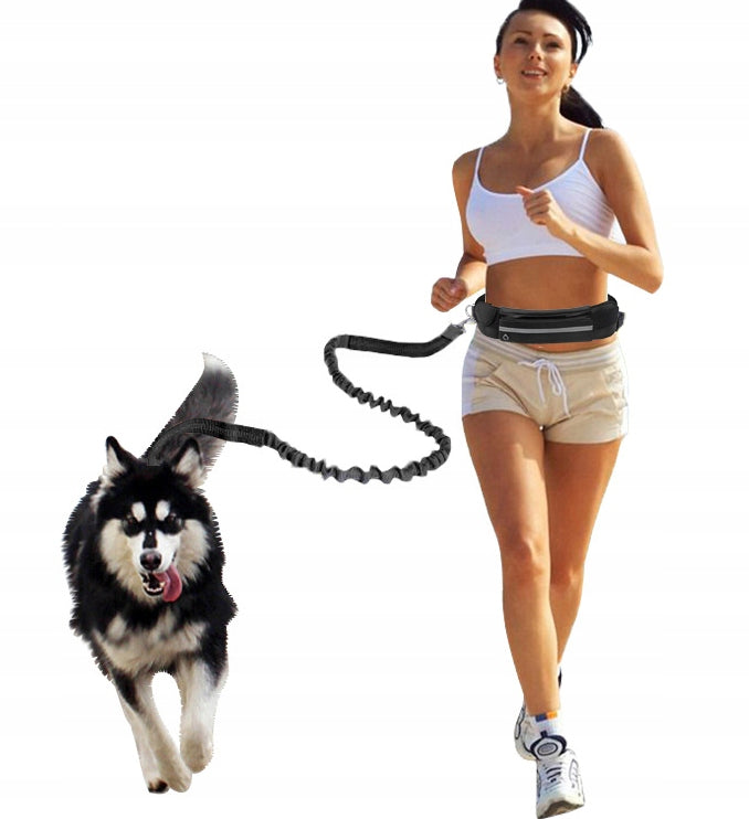 TREKKING HIP BELT, BAG FOR RUNNING WITH A DOG, LEASH WITH SHOCK ABSORBER EAN (GTIN) 5906022630889