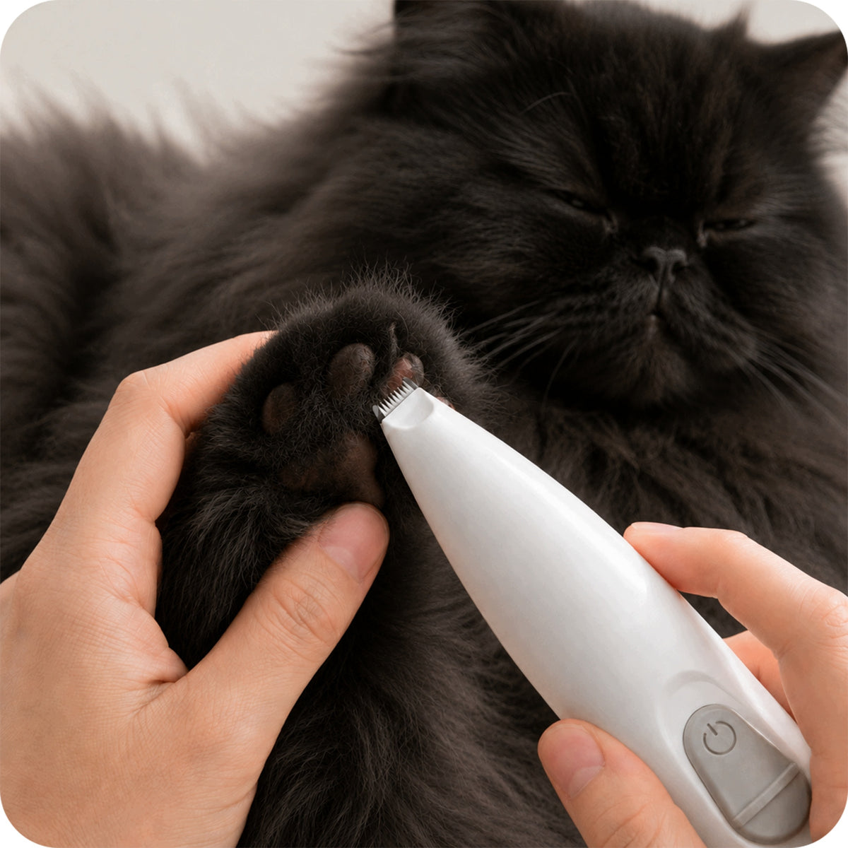 TRIMMER CAT DOG CLIPPER FOR ANIMAL PAWS LED WIRELESS USB Manufacturer code TRYMER MASZYNKA DLA PSA KOTA DO ŁAP USB LED