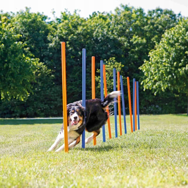 TRIXIE Activity Obstacle Course Pole Slalom Training Agility Dog Toy Brand Trixie