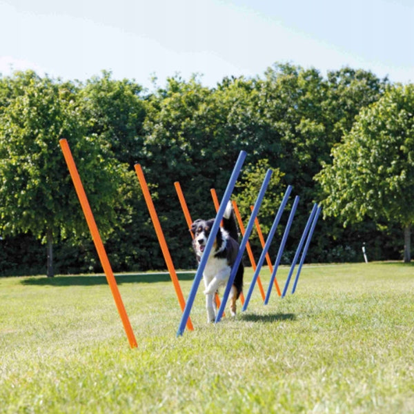 TRIXIE Activity Obstacle Course Pole Slalom Training Agility Dog Toy Purpose universal training