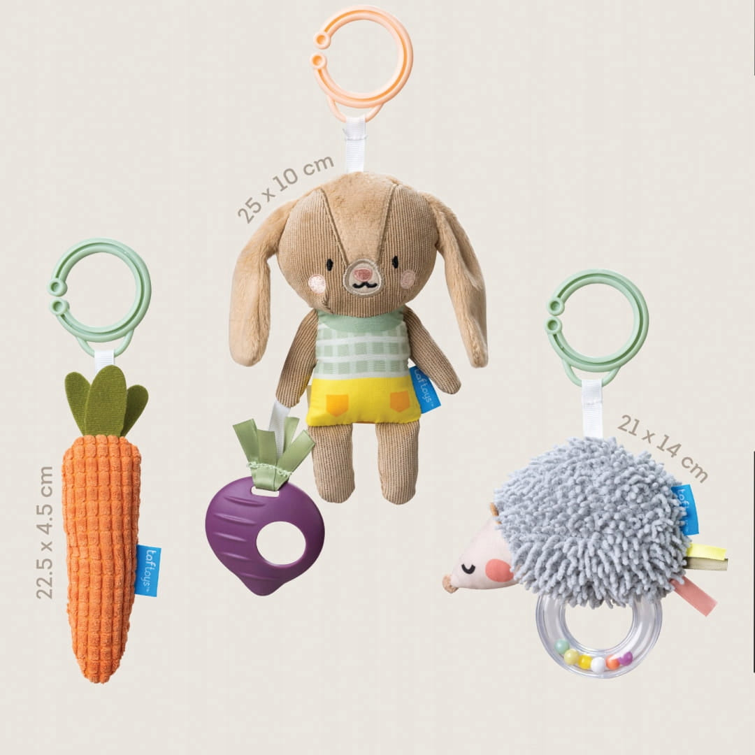 Taf Toys Baby Activation Toy Set Packaging status original