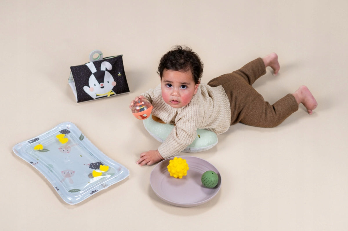 Taf Toys Set of Abdominal Lying Toy Essentials - Fun and Development Manufacturer code 13435