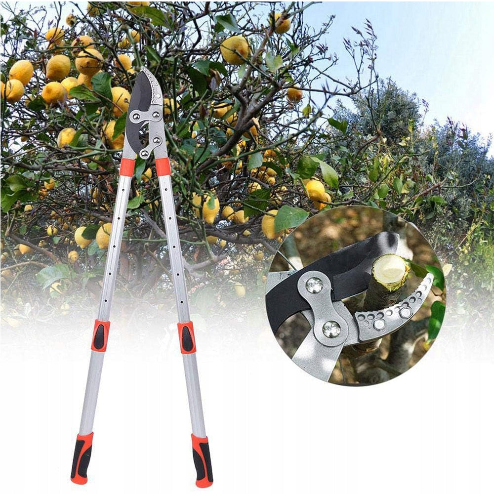 Telescopic Shearing Machine Telescopic Shears 69-100cm Branches Strong 70mm Working length 100 cm
