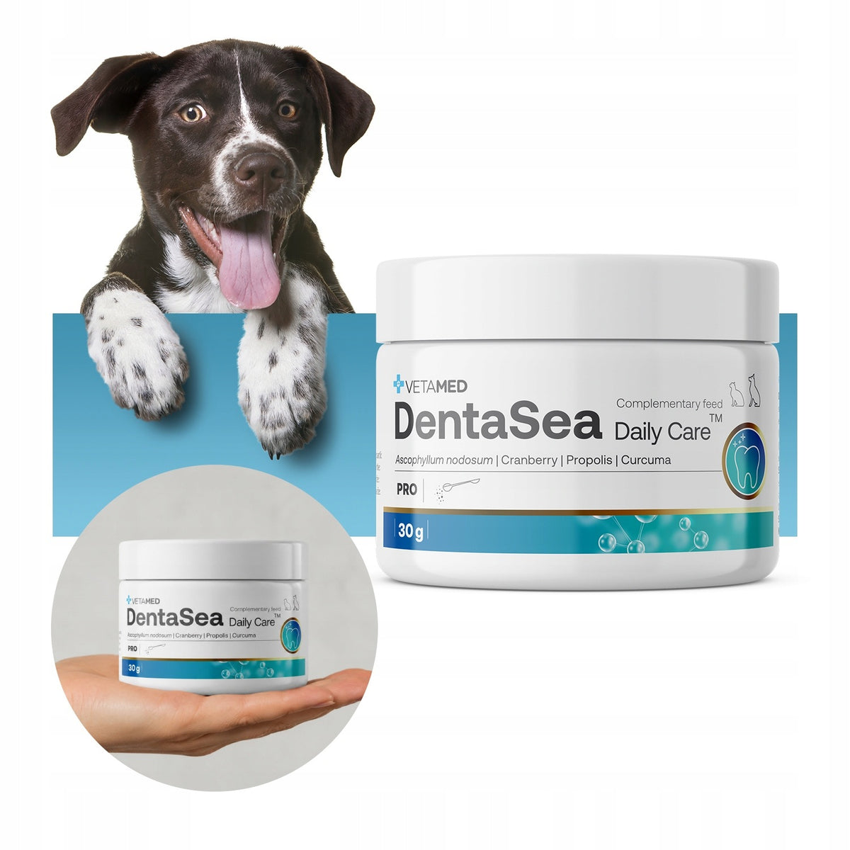 Tooth Powder for Dogs and Cats Preparation for Tartar DentaSea 30g Brand Vetamed