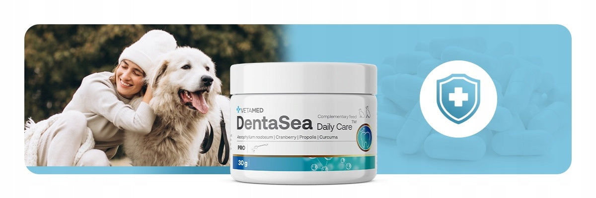 Tooth Powder for Dogs and Cats Preparation for Tartar DentaSea 30g Packaging status original