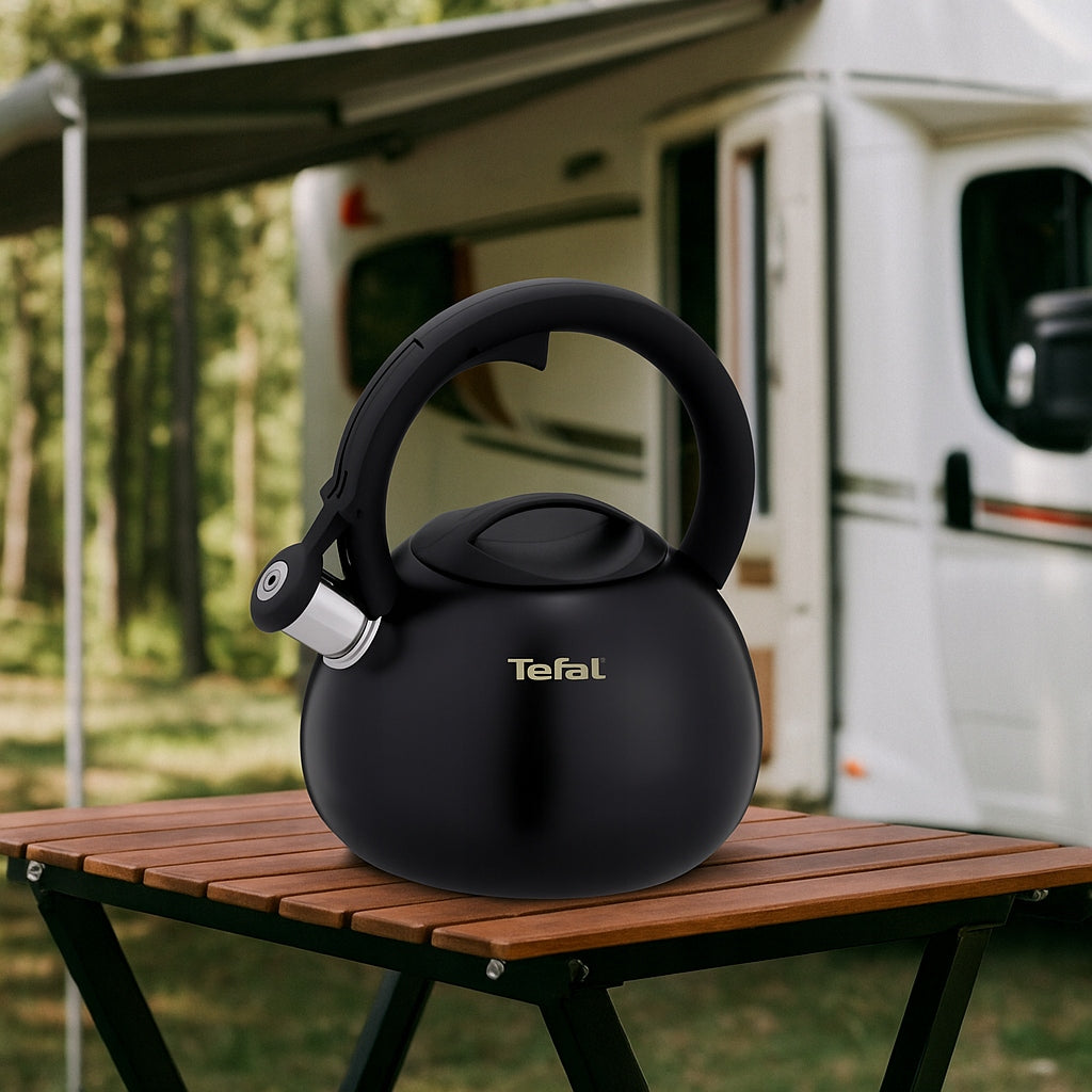 Traditional Black Steel Kettle TEFAL N418041 with Gas Whistle Induction EAN (GTIN) 4168430015905