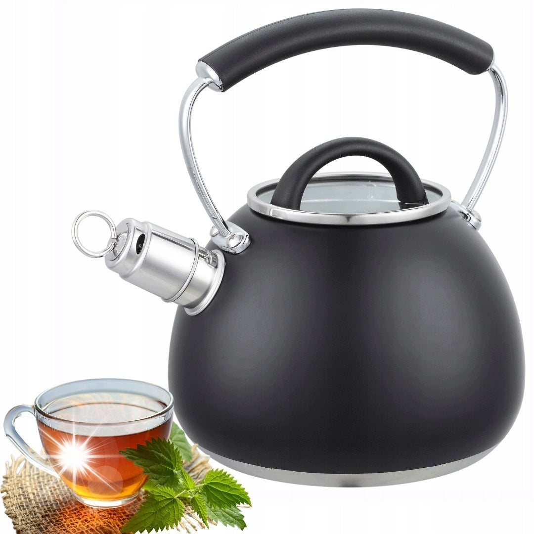 Traditional Kettle with Whistle 2,5L Induction Stainless Steel GAS