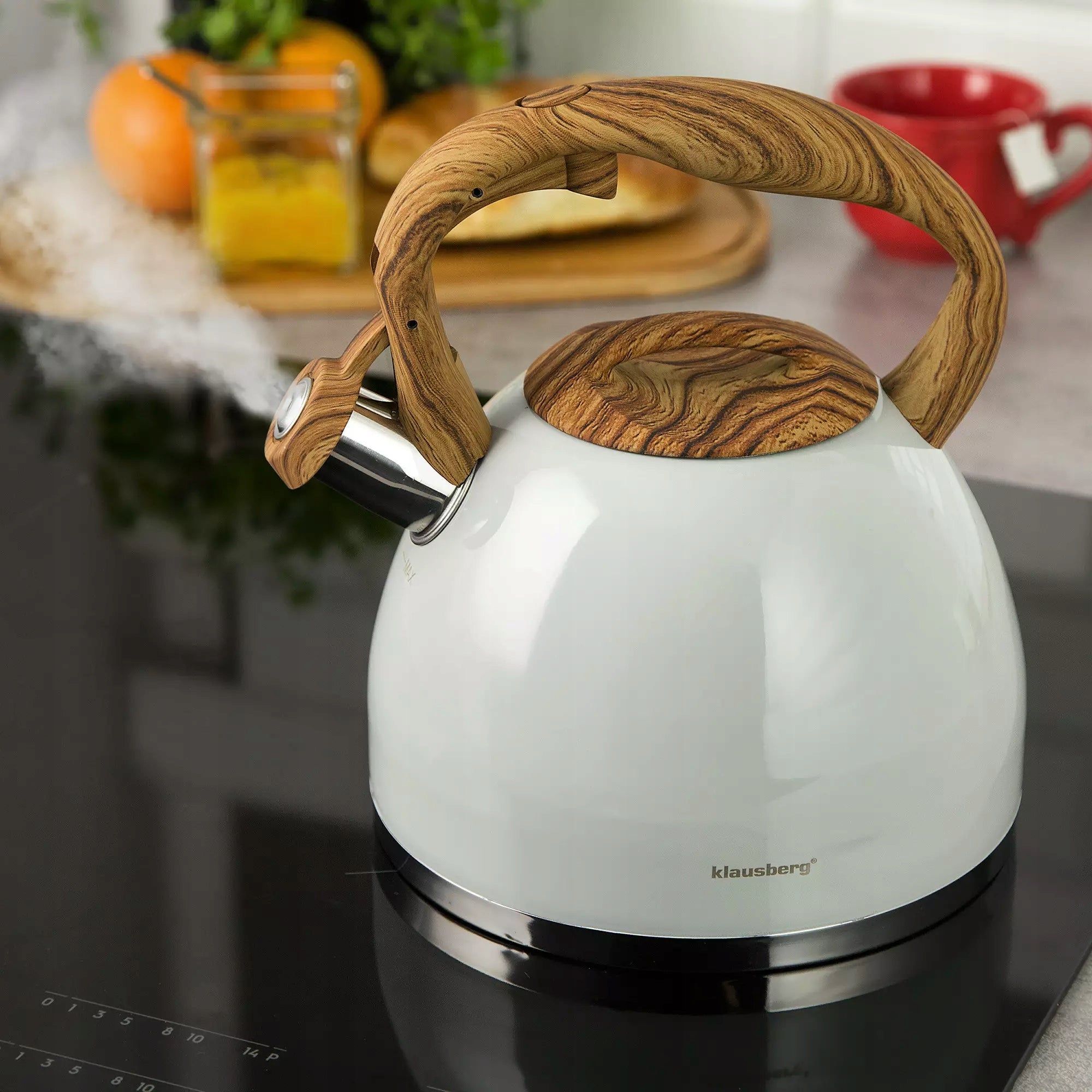 Traditional kettle 3l, light grey Klausberg Brand Klausberg