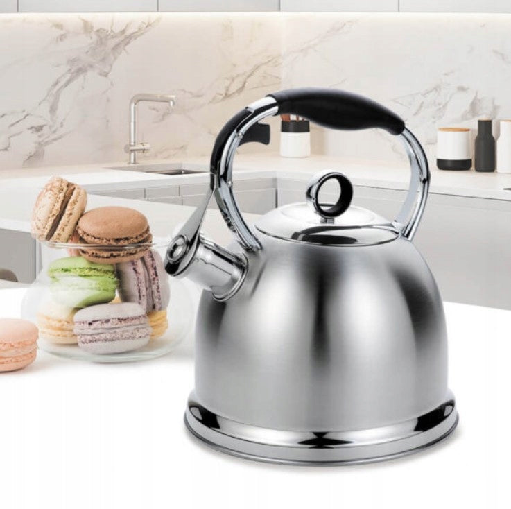 Traditional steel kettle Maestro 2,9 l silver Brand Maestro