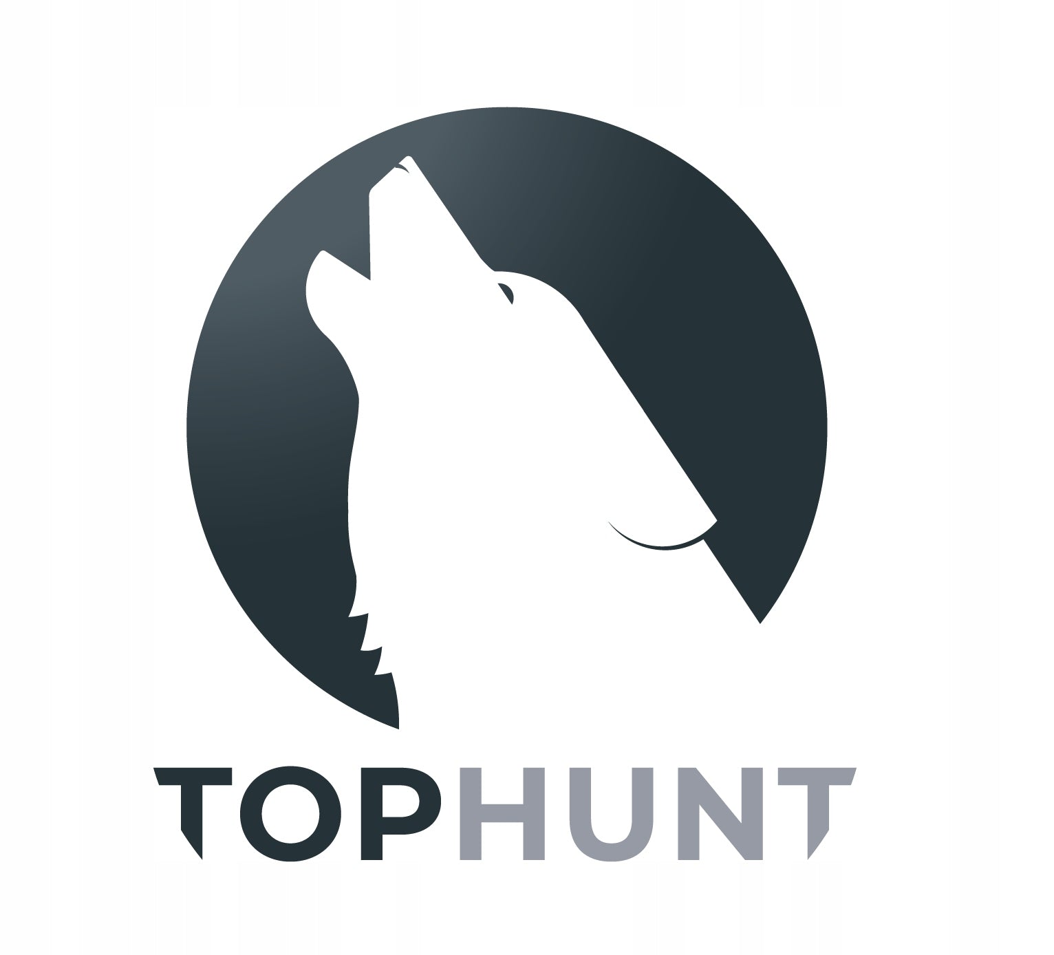 Trail Camera forest camera TopHunt HC800A FHD 42xIR 16MPX Brand Tophunt