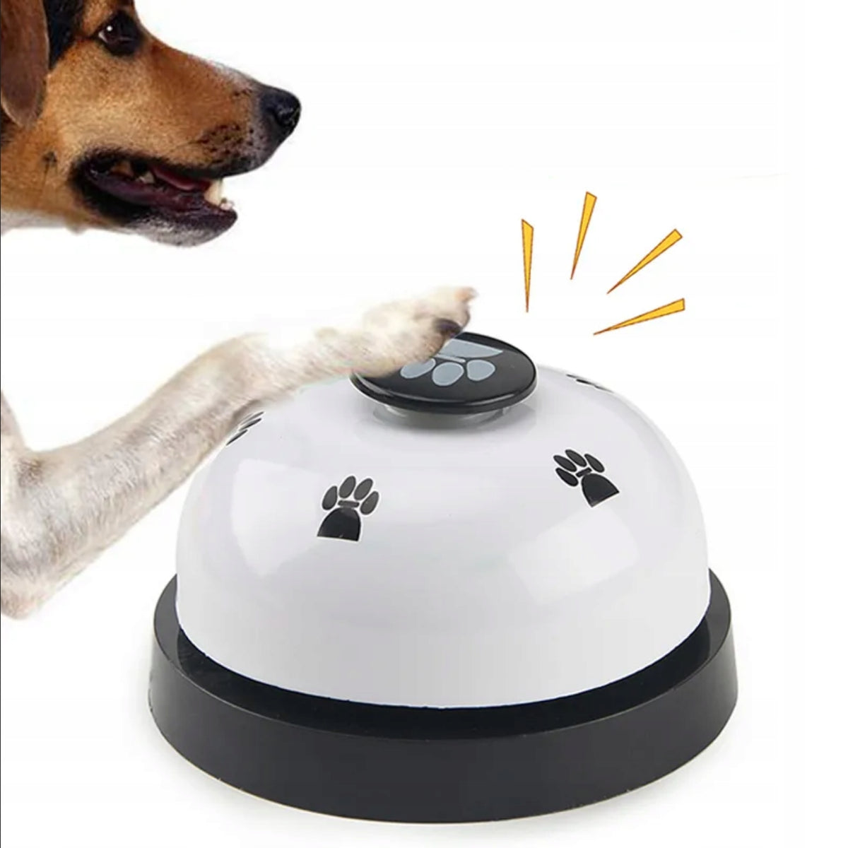Training BELL for Cat Dog TRAINING for Learning EDUCATIONAL Commands Manufacturer code SZKOLENIOWY dzwonek dla psa