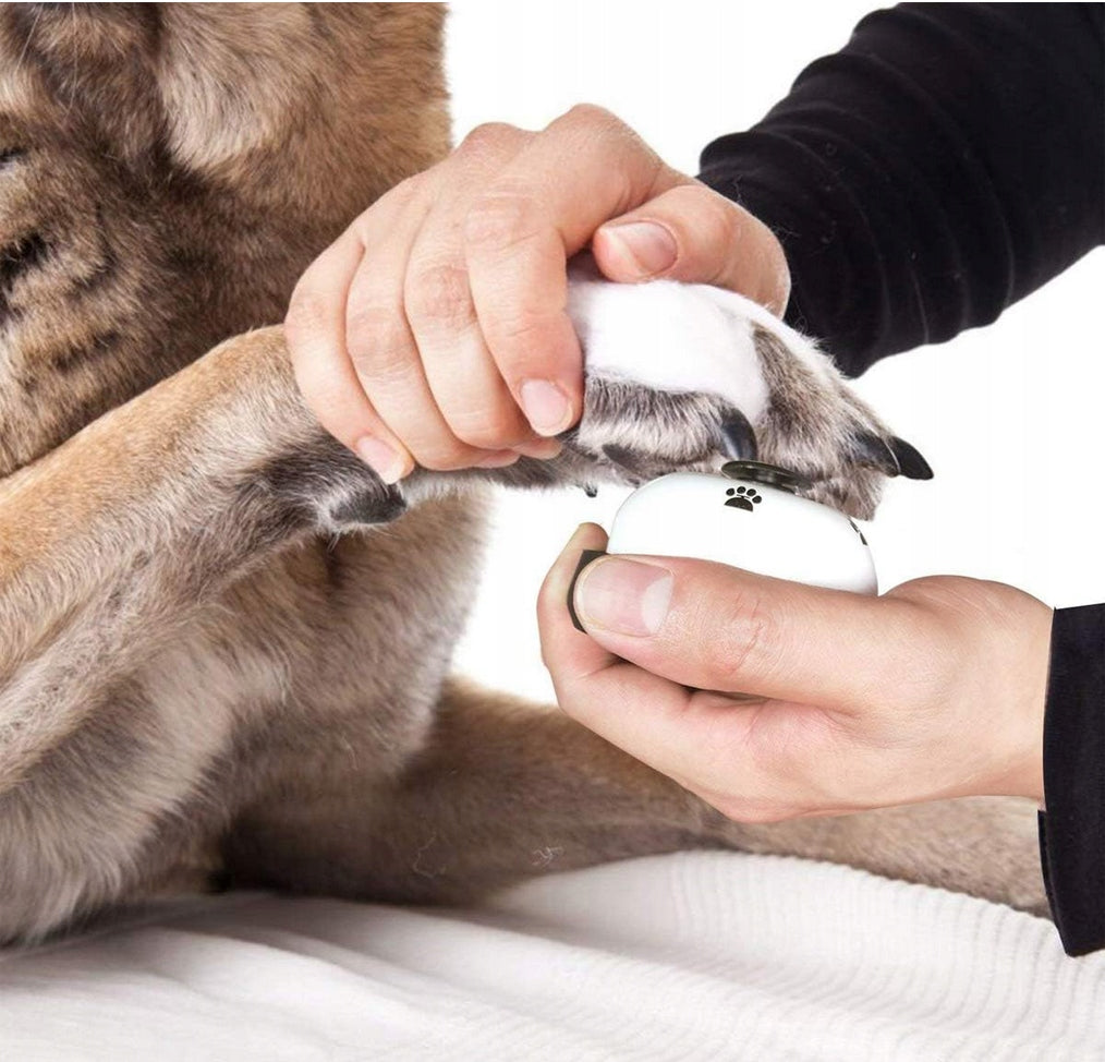 Training BELL for Cat Dog TRAINING for Learning EDUCATIONAL Commands Packaging status original