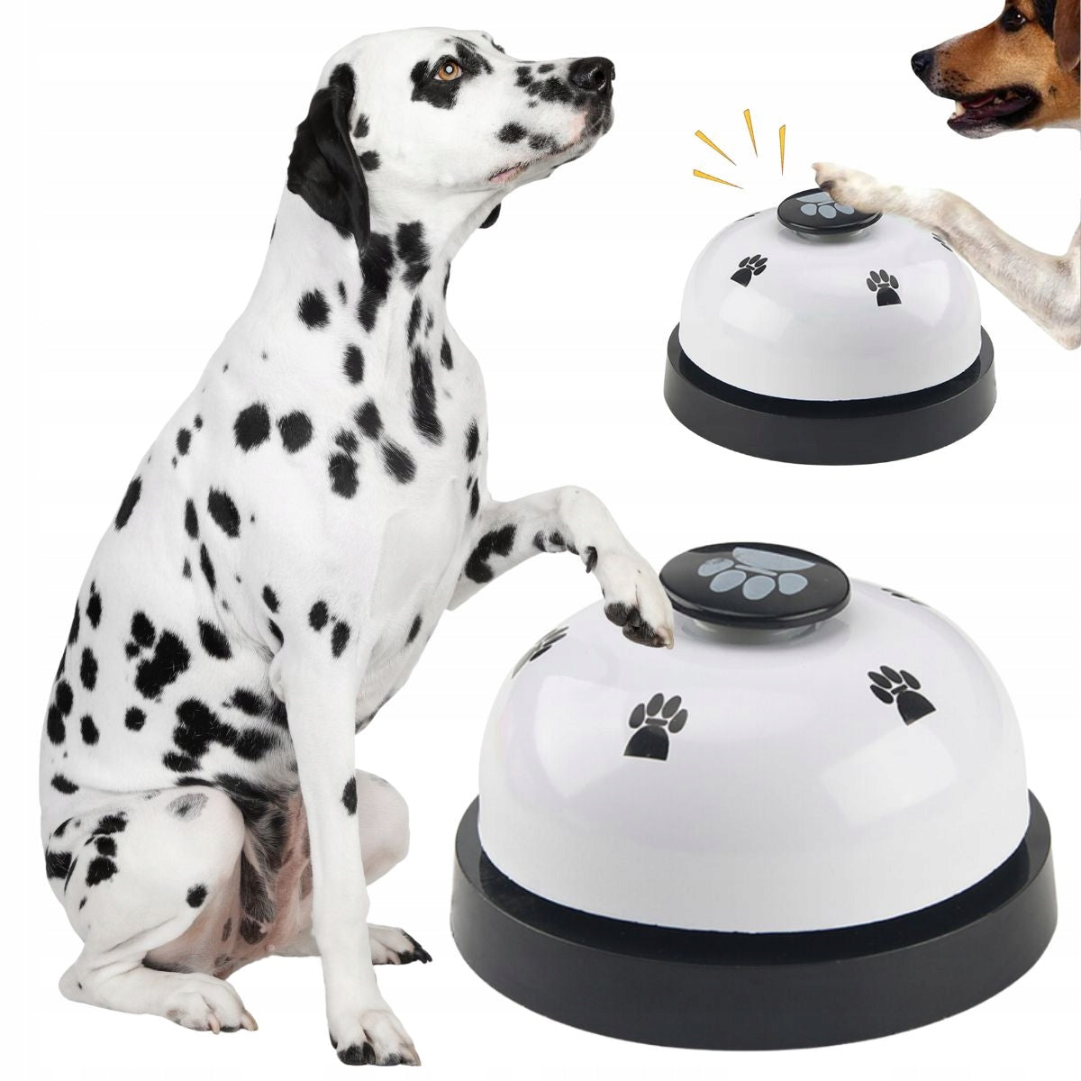 Training BELL for Cat Dog TRAINING for Learning EDUCATIONAL Commands