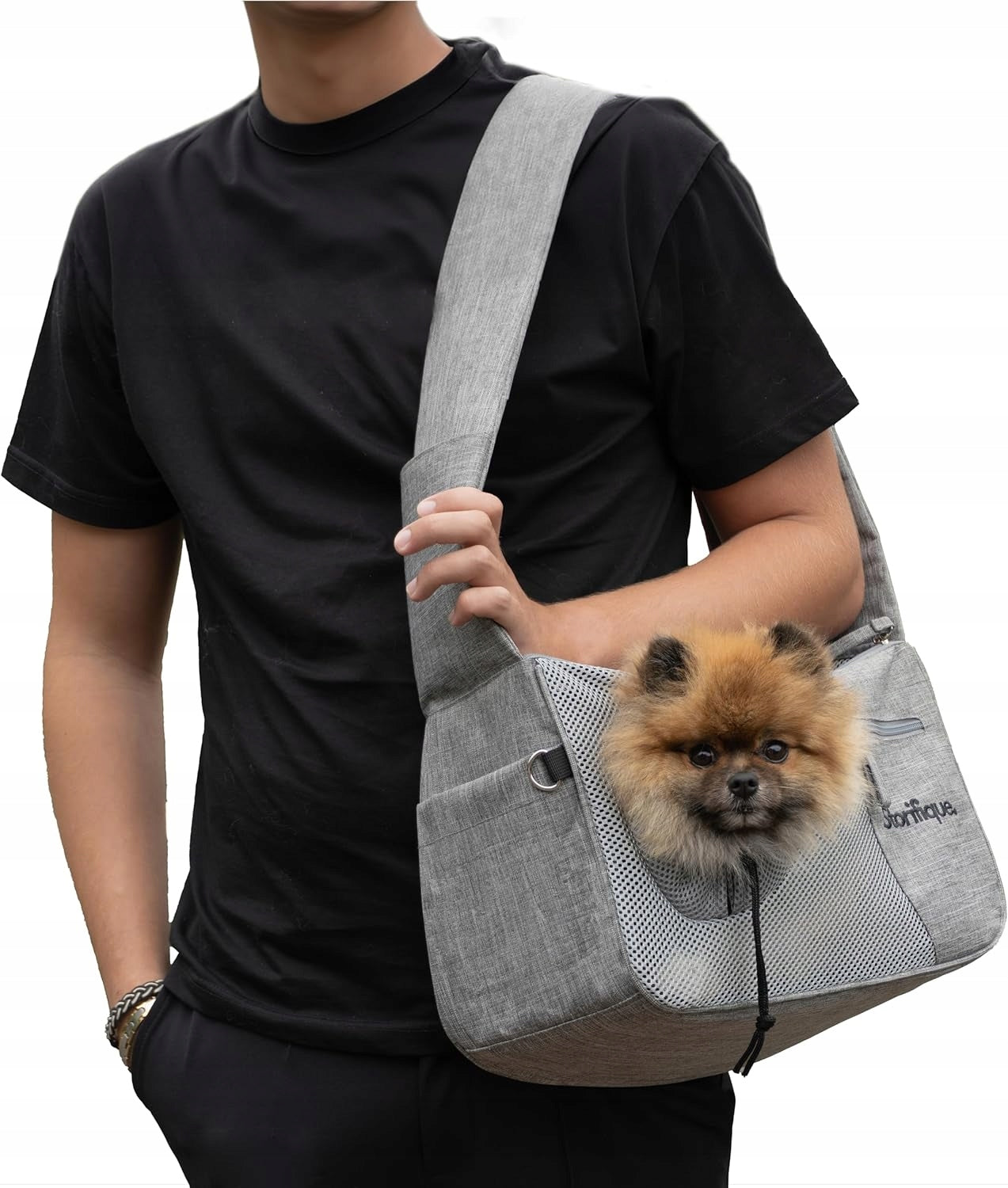 Transport BAG on the Cat Dog Frame with Window