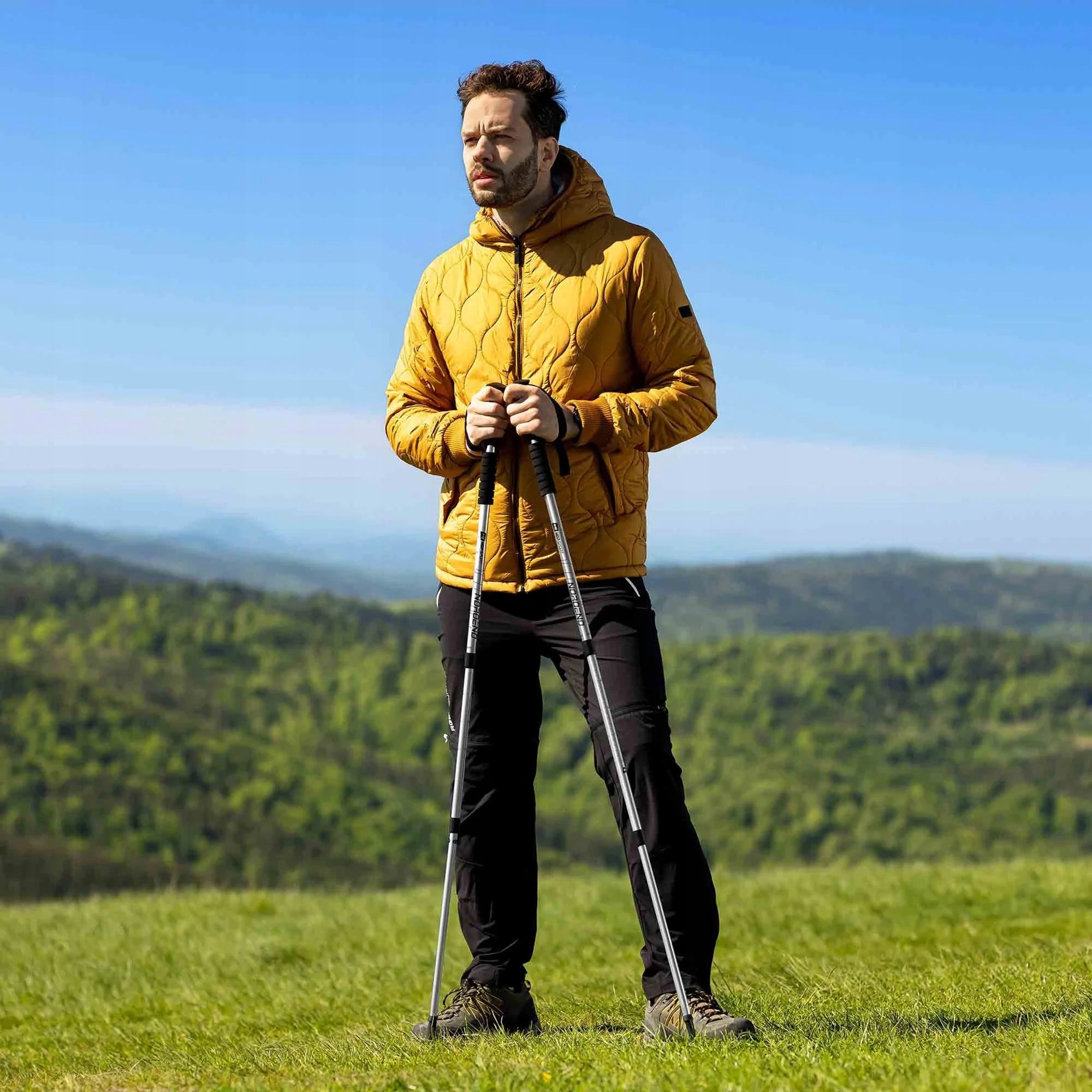 Trekking poles Nordend silver hiking poles aluminum Nordic walking Packaging status original