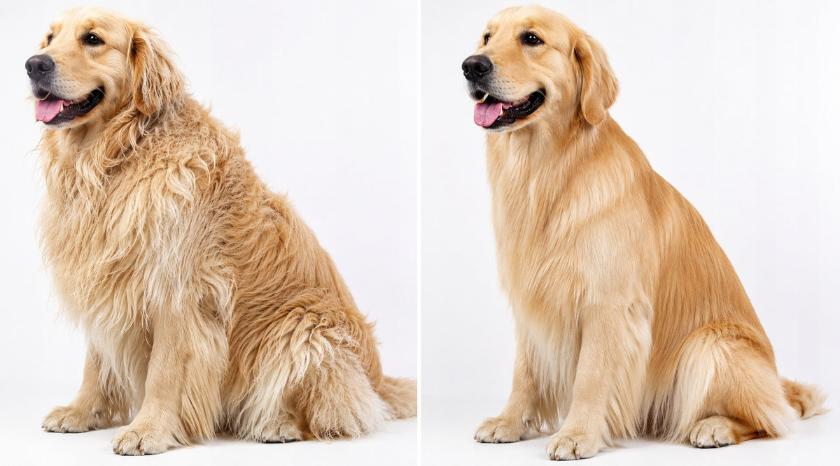 Trimmer Carded for Cat Dog Dead Hair Undercoat Double Sided Manufacturer code trymer 3 w 1